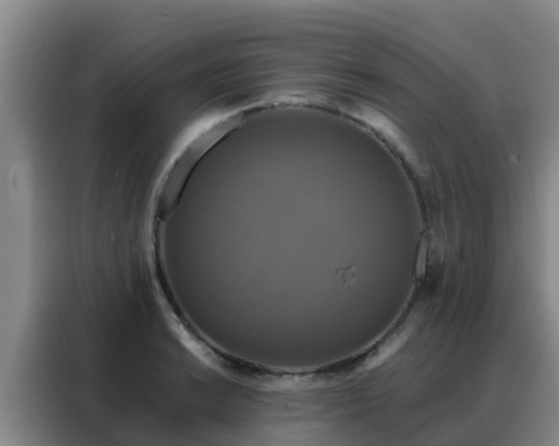 X0000088141038200705211132