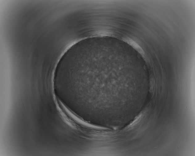 X0000088141039200705211132