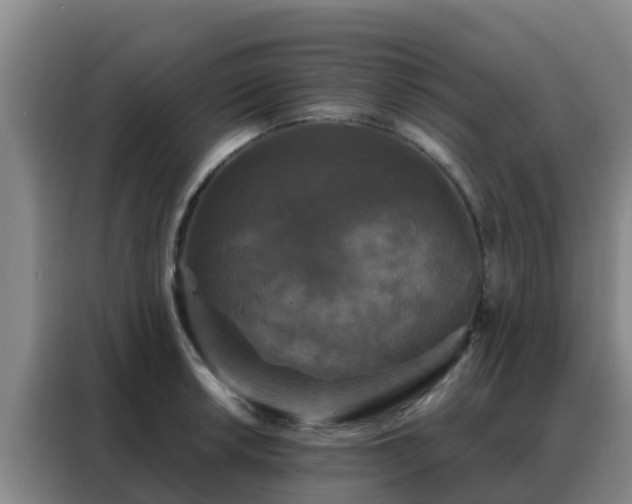 X0000088141042200705211132