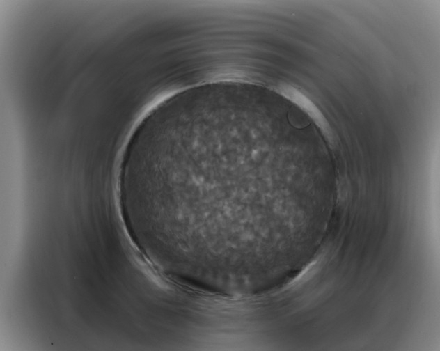 X0000088141043200705211132