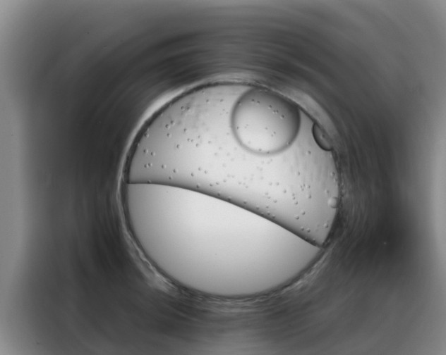 X0000088141044200705211132