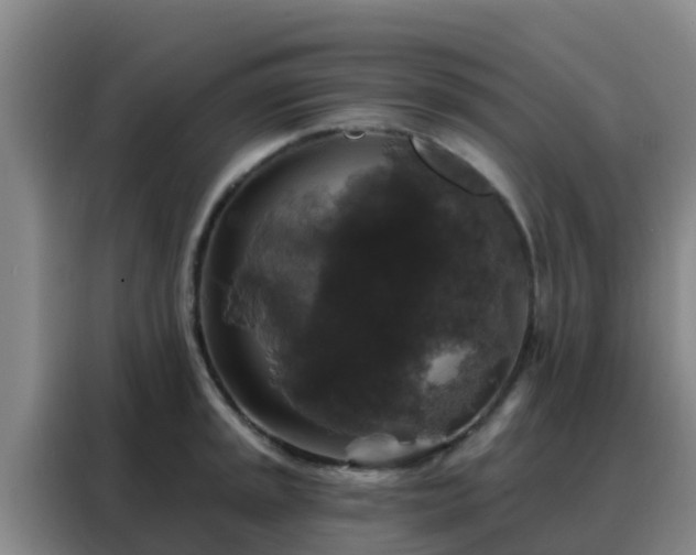 X0000088141045200705211132