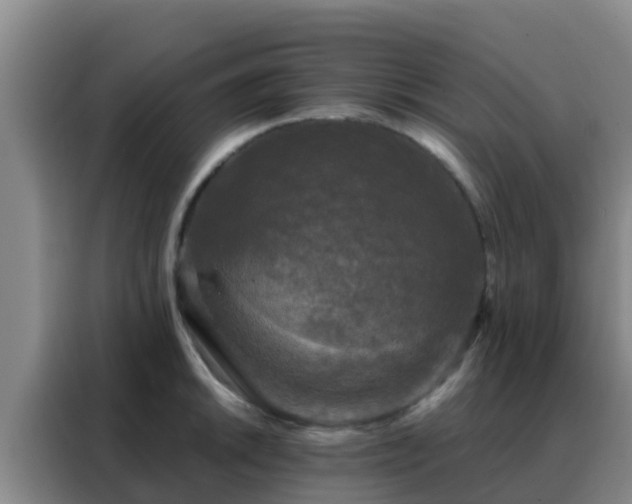 X0000088141046200705211132