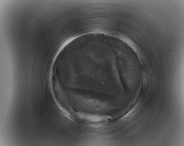 X0000088141048200705211132