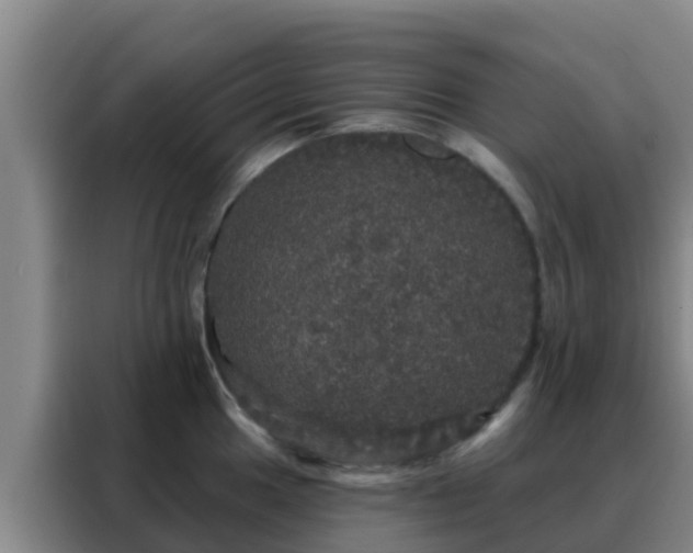 X0000088141049200705211132