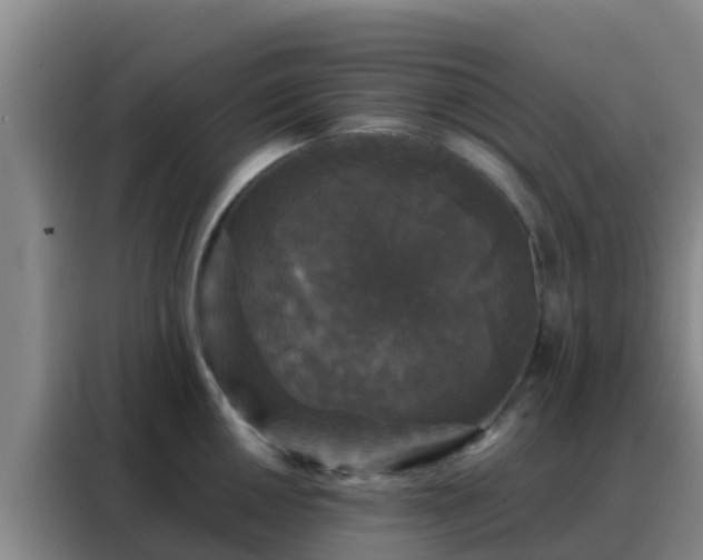 X0000088141050200705211132