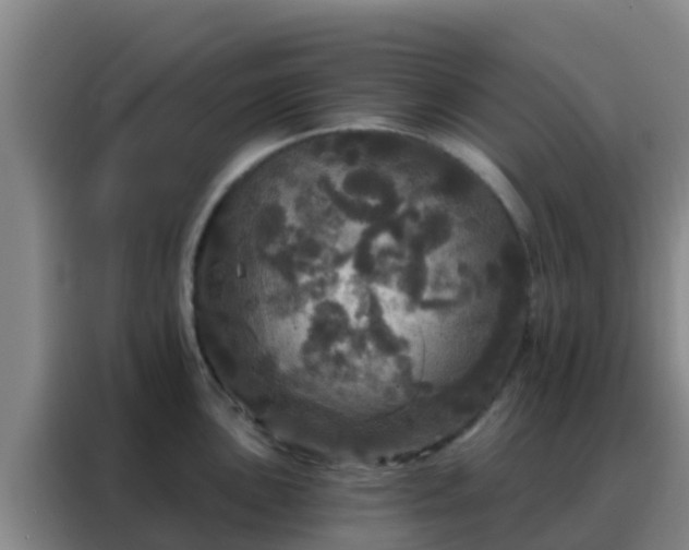 X0000088141051200705211132