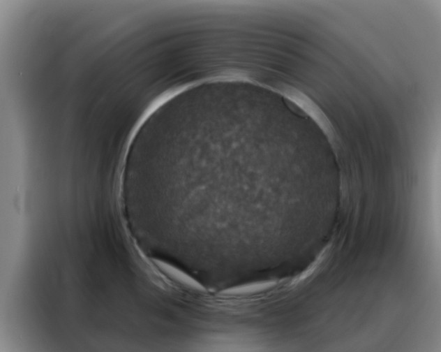 X0000088141052200705211132