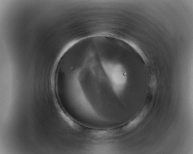 X0000088141054200705211132