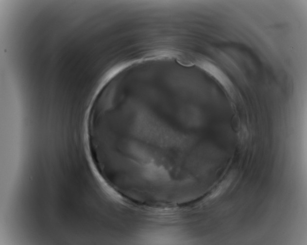 X0000088141055200705211132