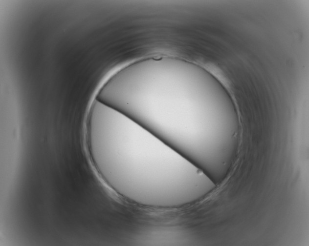 X0000088141056200705211132
