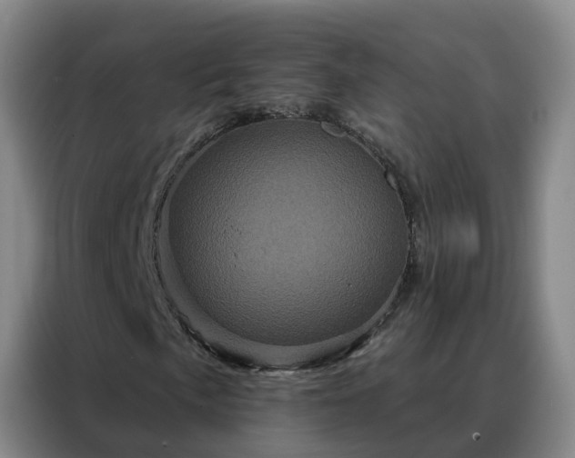 X0000088141057200705211131