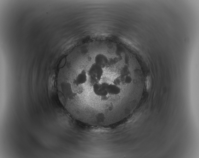 X0000088141059200705211131