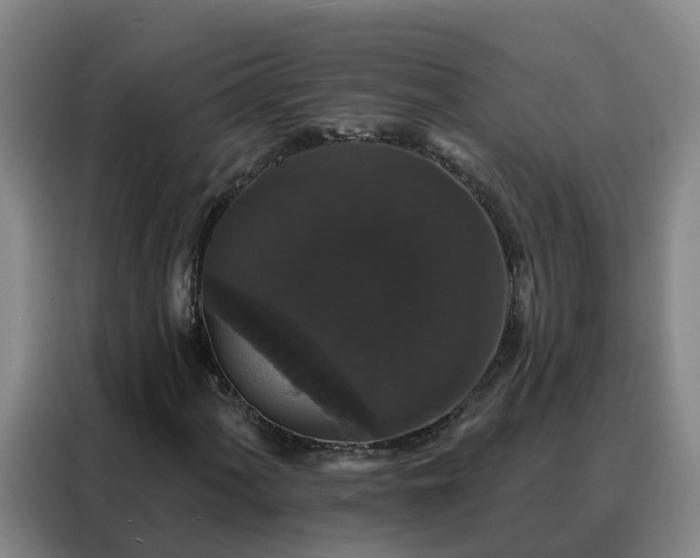 X0000088141060200705211131