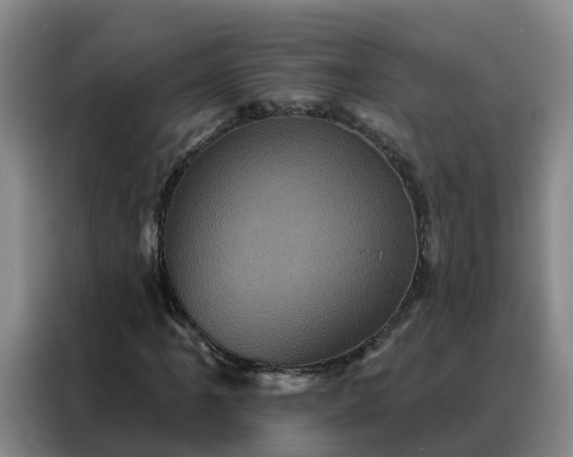 X0000088141061200705211131