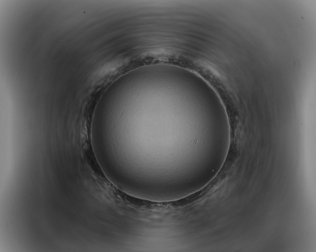 X0000088141062200705211131
