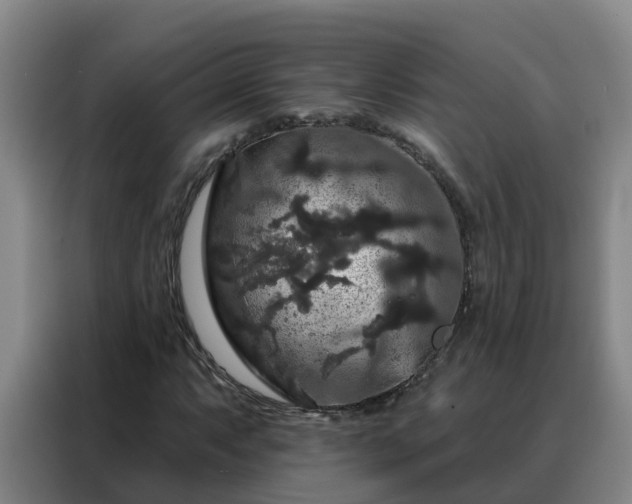 X0000088141063200705211131