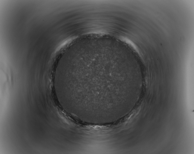 X0000088141064200705211131