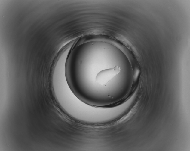 X0000088141065200705211131