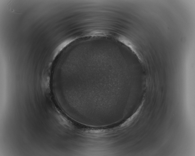 X0000088141066200705211131