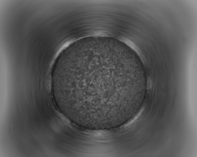 X0000088141067200705211131