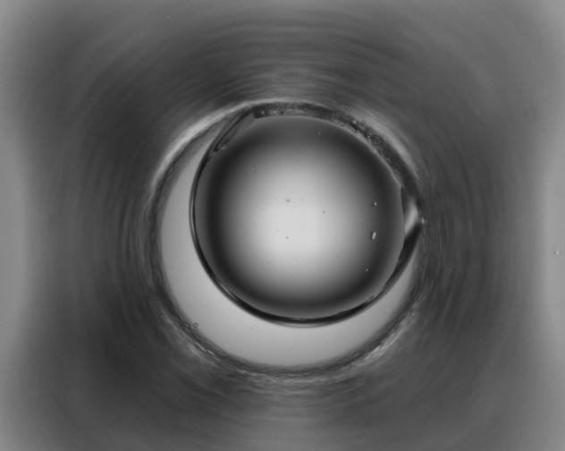 X0000088141069200705211131