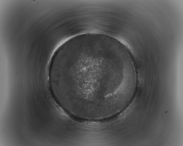 X0000088141070200705211131