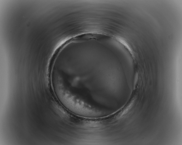 X0000088141071200705211131