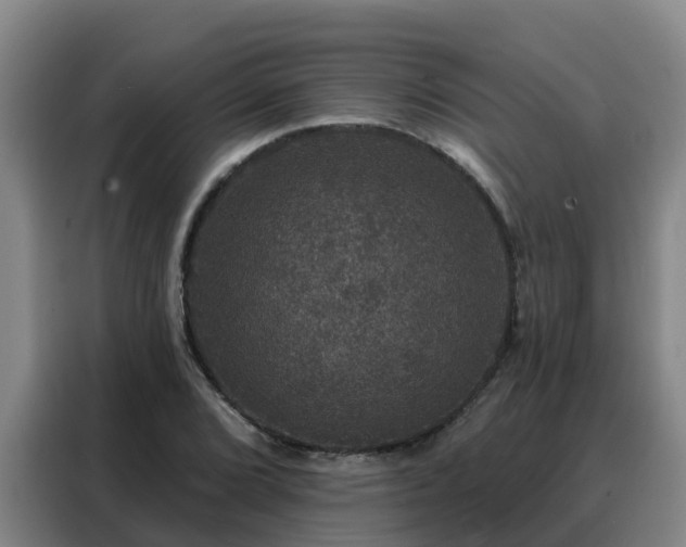 X0000088141072200705211131