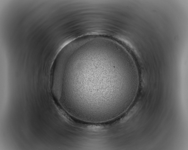 X0000088141073200705211131
