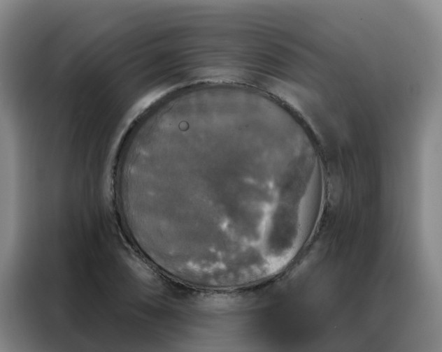 X0000088141074200705211131