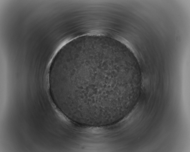 X0000088141075200705211131