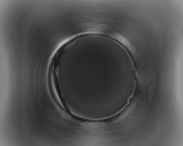 X0000088141077200705211131