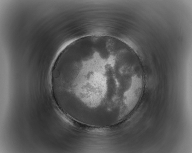 X0000088141078200705211131