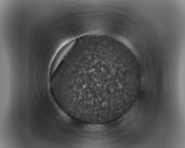 X0000088141079200705211131