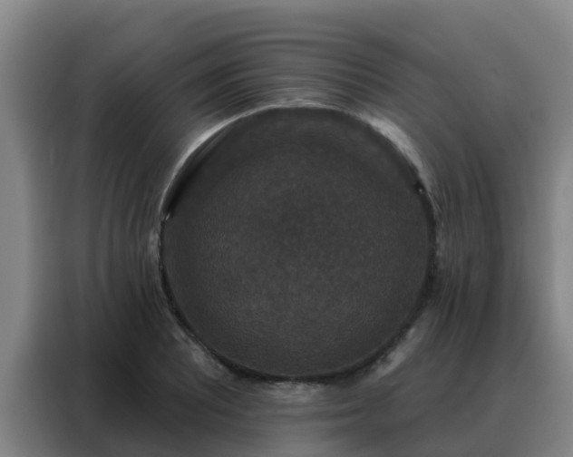 X0000088141081200705211131