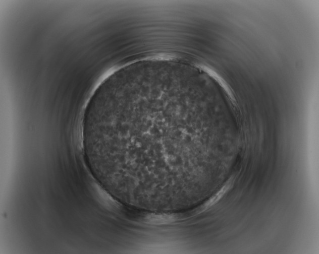 X0000088141083200705211131