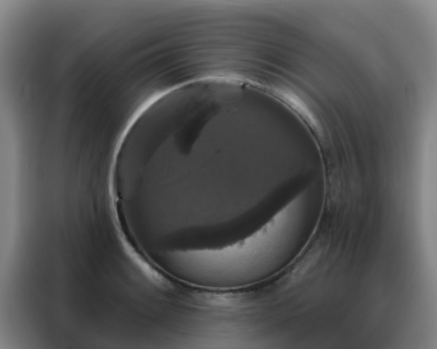 X0000088141084200705211131