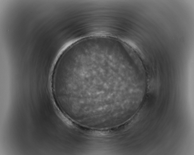 X0000088141086200705211131