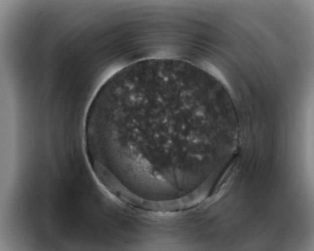X0000088141087200705211131