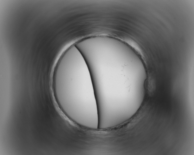 X0000088141088200705211131