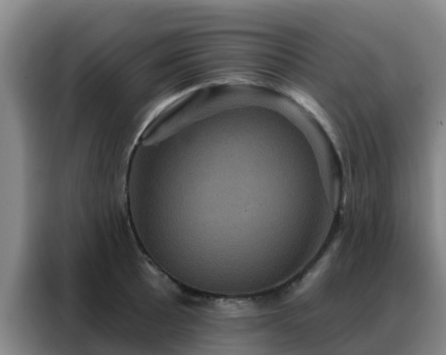 X0000088141089200705211131