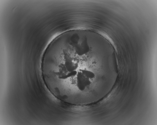 X0000088141091200705211131