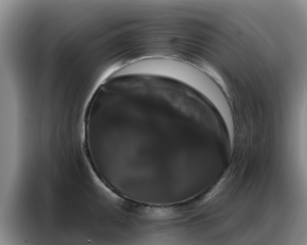 X0000088141095200705211131