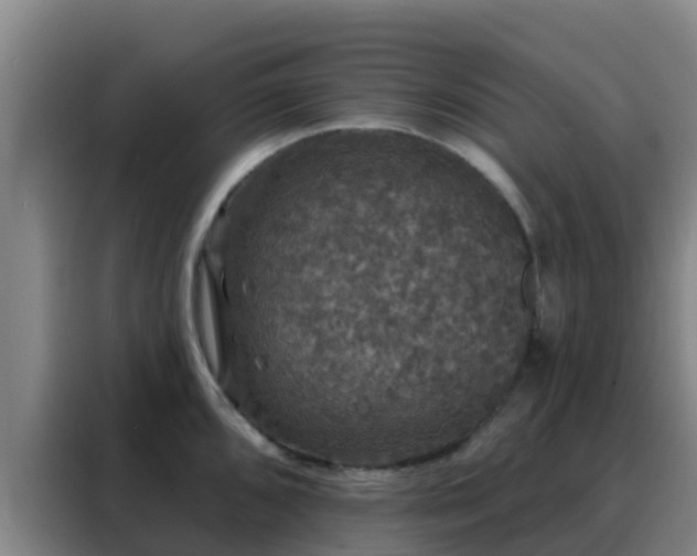 X0000088141096200705211131