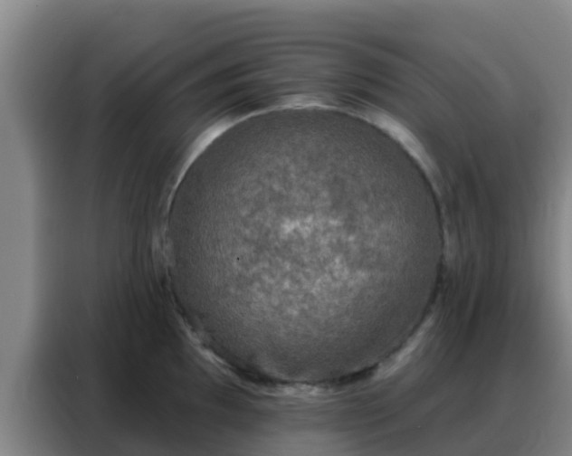 X0000088141097200705211131
