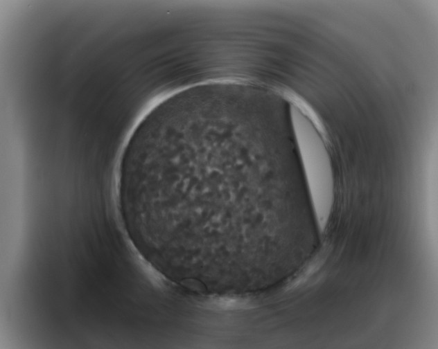 X0000088141099200705211131