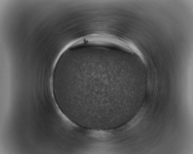 X0000088141100200705211131