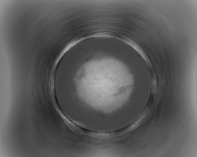X0000088141101200705211131