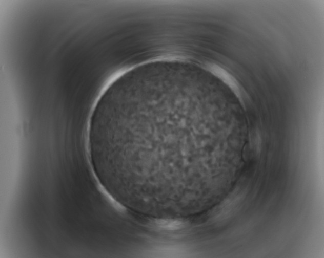 X0000088141103200705211131
